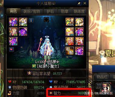 DNF发布网独家特色私服 DNF发布网独家特色私服